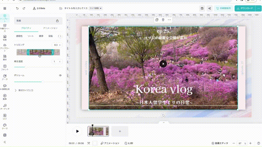 240118_動画の詳細設定.gif