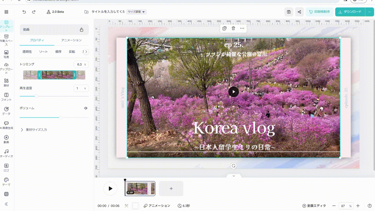 240118_透明度や背景など動画設定.gif