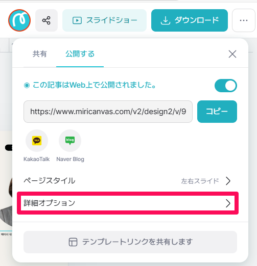 상세 옵션 일어.png